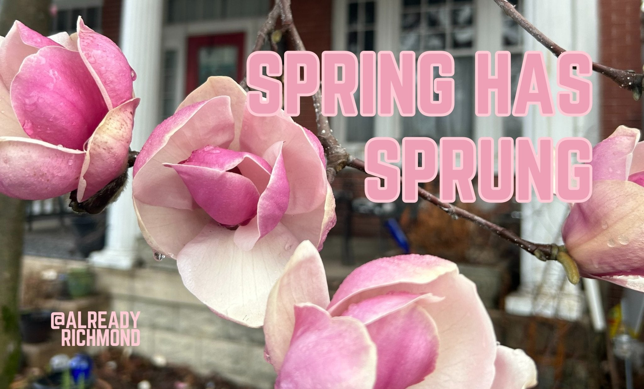 For Your Mom, From Our Mom - Already Richmond